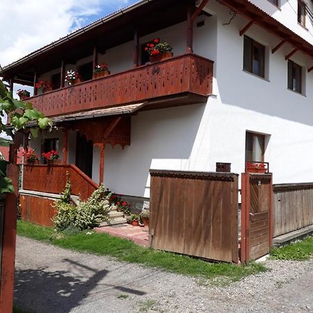 Molnar Vendeghaz Bed and Breakfast Praid Εξωτερικό φωτογραφία