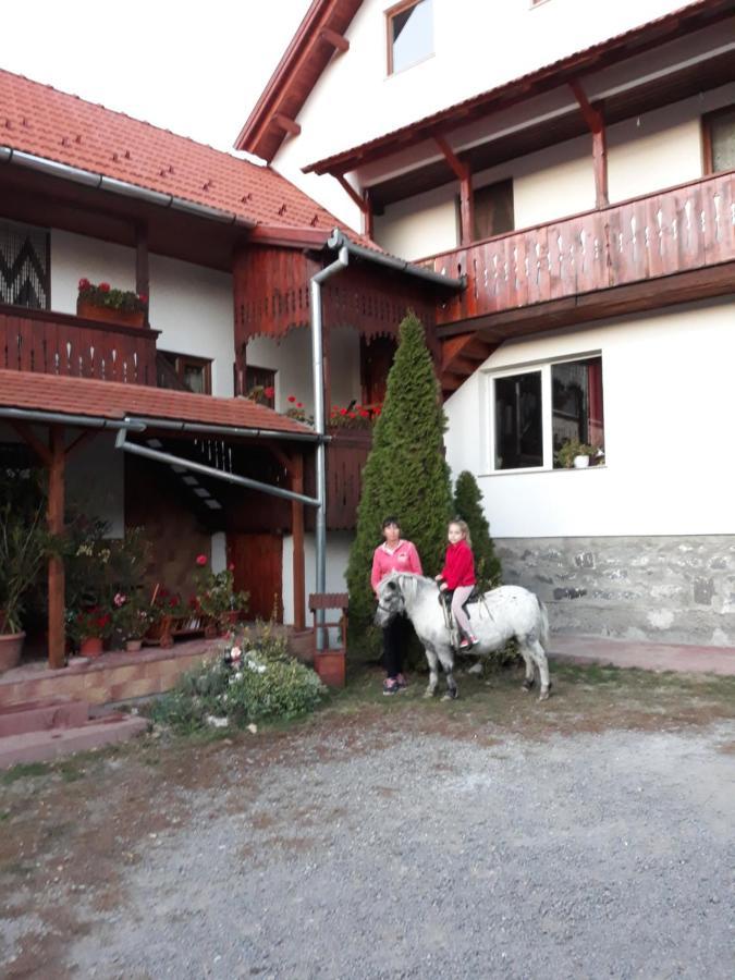 Molnar Vendeghaz Bed and Breakfast Praid Εξωτερικό φωτογραφία