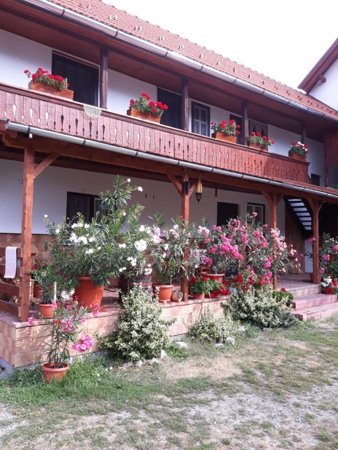 Molnar Vendeghaz Bed and Breakfast Praid Εξωτερικό φωτογραφία