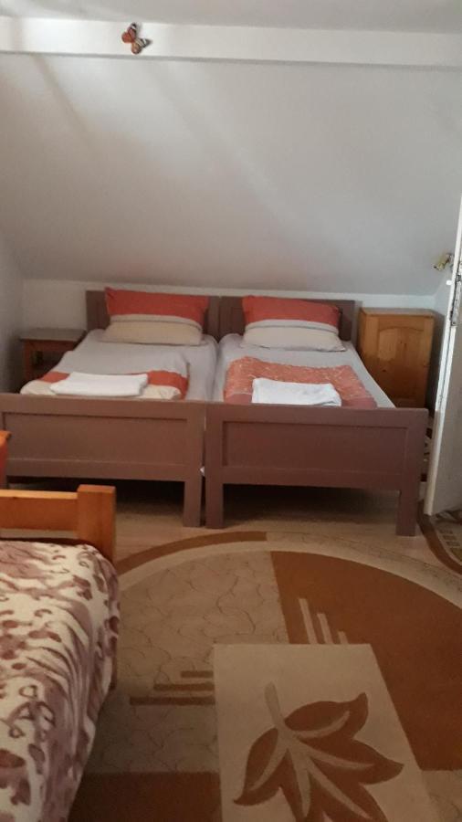 Molnar Vendeghaz Bed and Breakfast Praid Εξωτερικό φωτογραφία